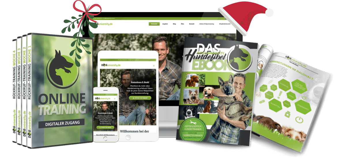 Dog University Weihnachten: Online Hundetraining Mockup