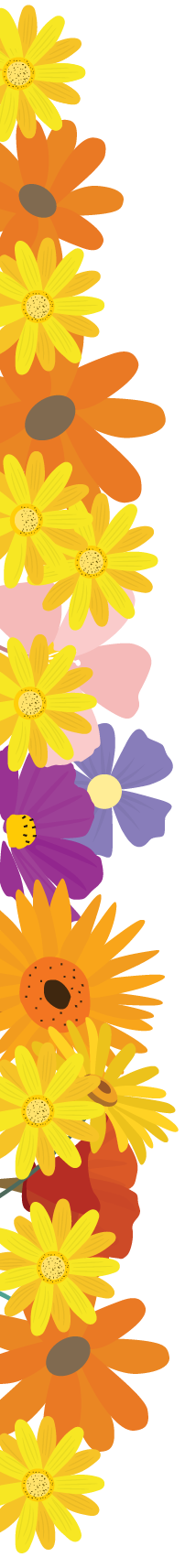 Blumen-Border-left