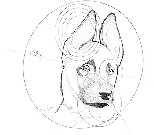 Illustration5