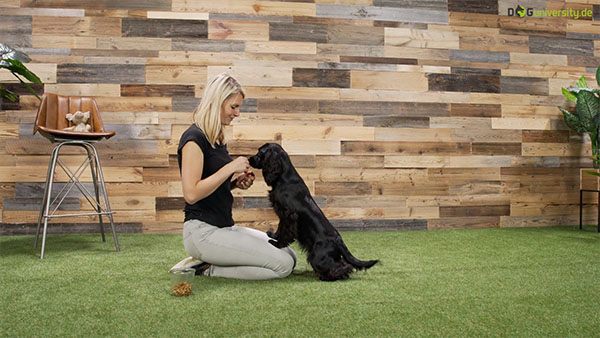 Dog University: Dana Thimel mit Hundenwelpen