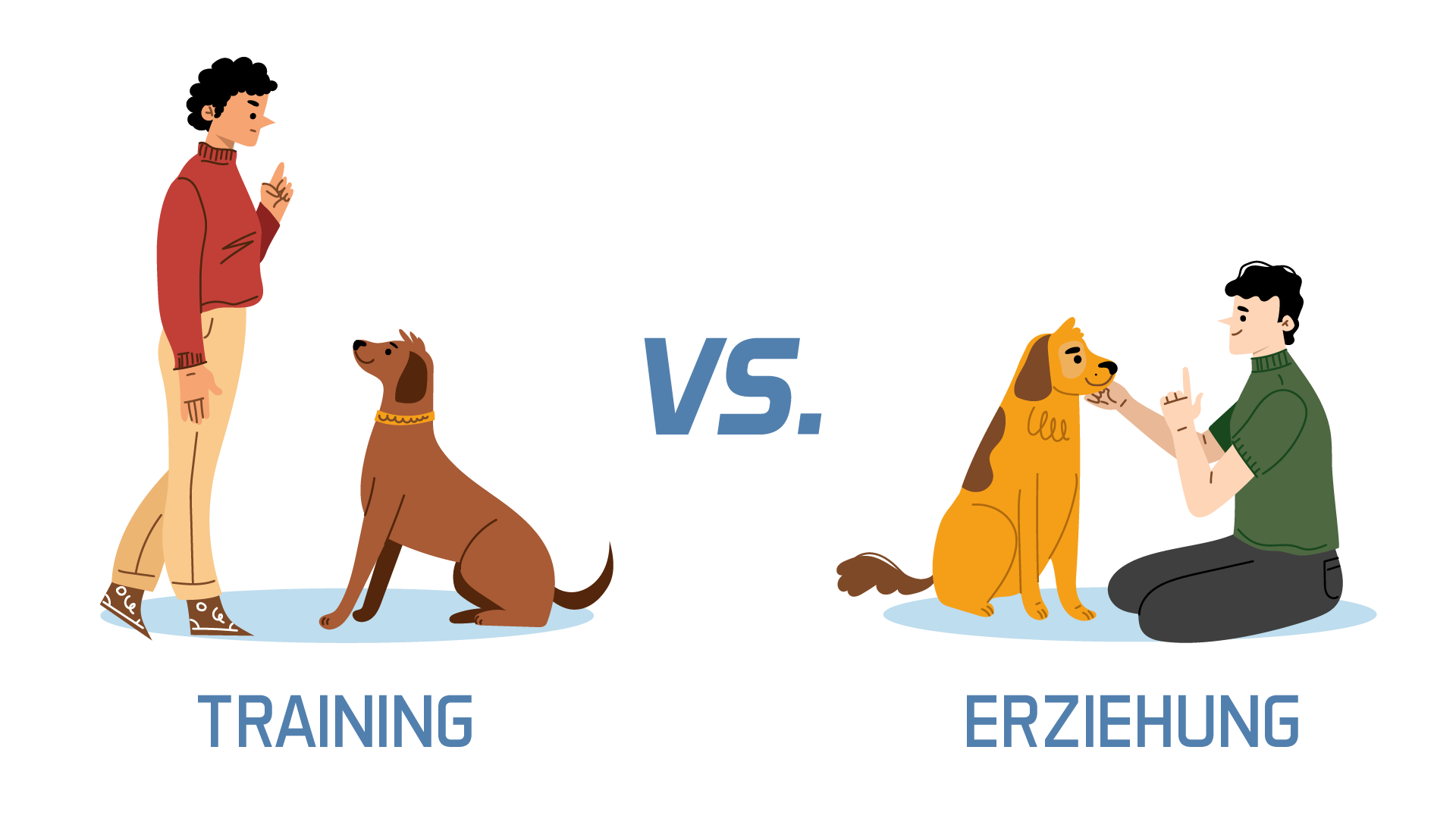 Die ersten Tage, Nächte und Wochen mit deinem Welpen