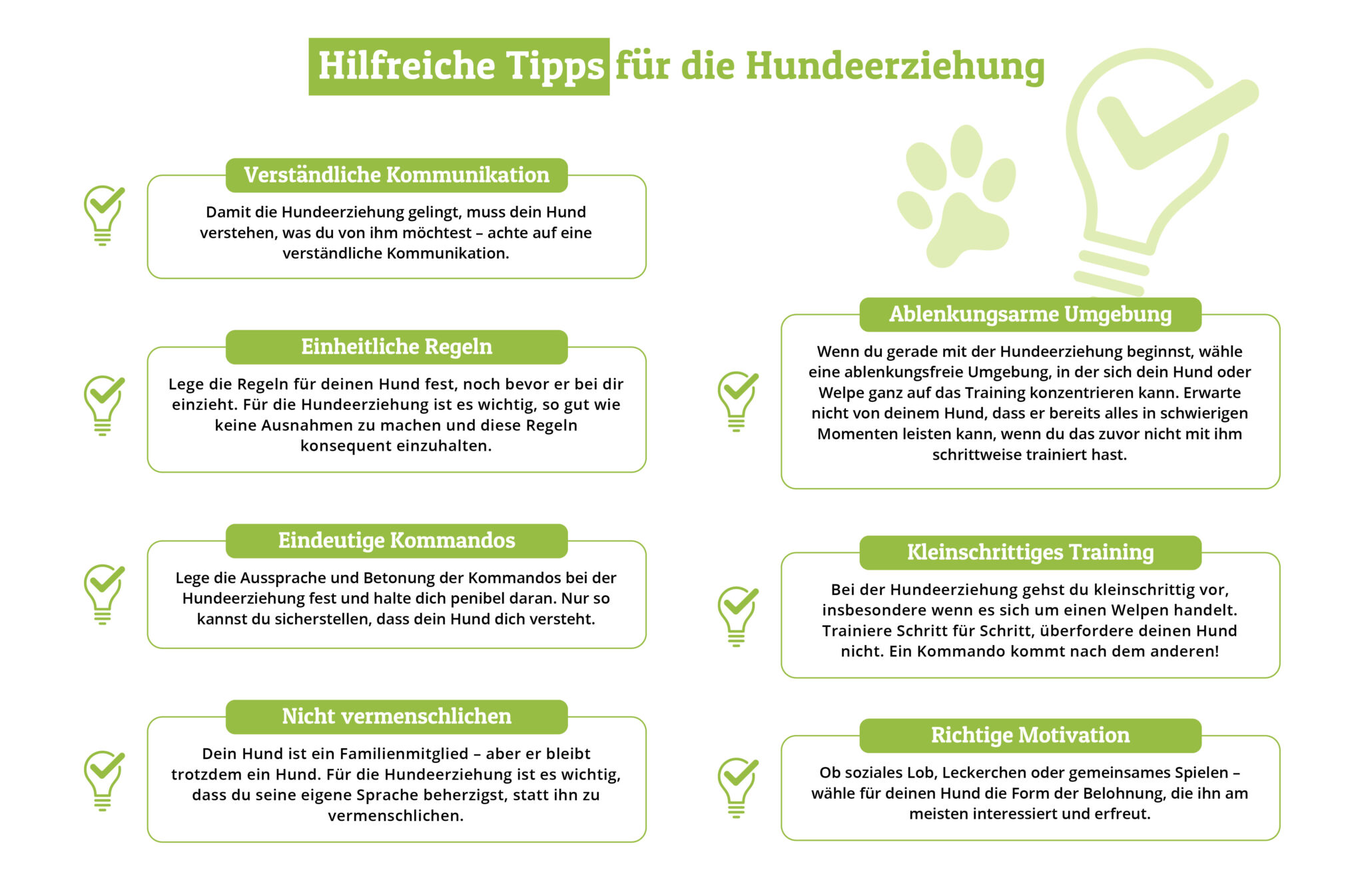 Hundeerziehung: Tipps & Tricks (mit Videos)
