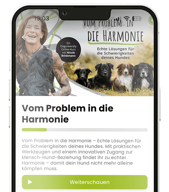 250707_DU-Handy-Problem-Harmonie-Mockup-mobile-min-min
