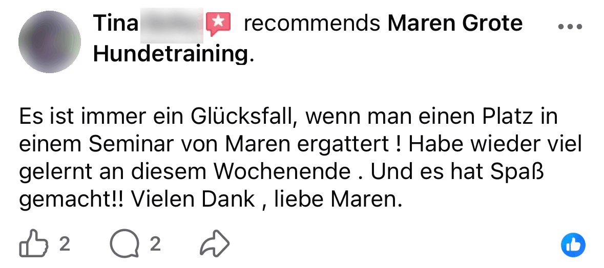 Dogu - Frustrationstoleranz - Testi 15